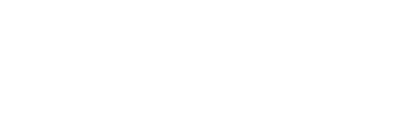 Litmus Logo